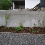Die Rabatte vor der Betonmauer wird mit Rankpflanzen bepflanzt